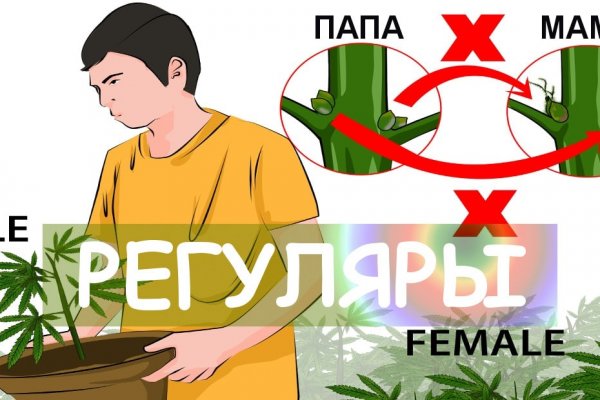Доступ кракен