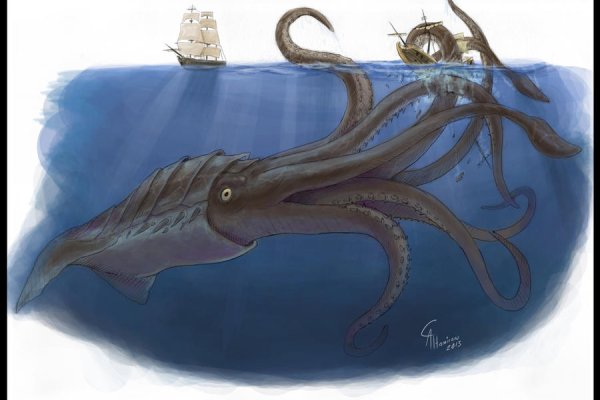 Kraken 19at