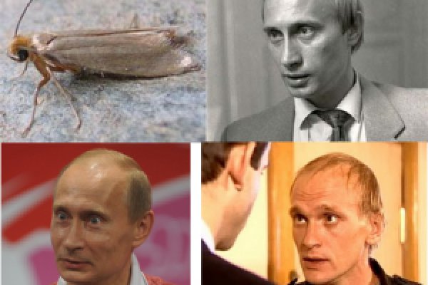 Ошибка на кракене