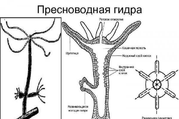Кракен даркнет krawebes