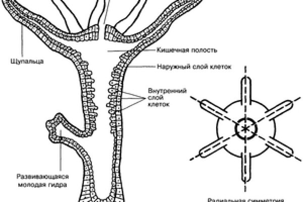 Кракен купить порошок