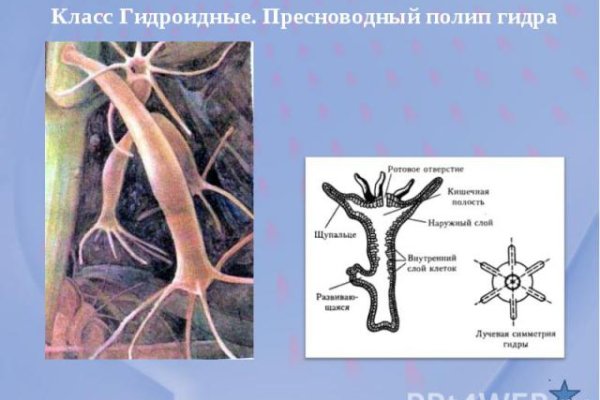 Кракен это современный даркнет маркет