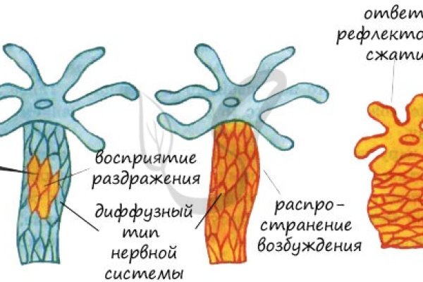 Проверенная ссылка кракен