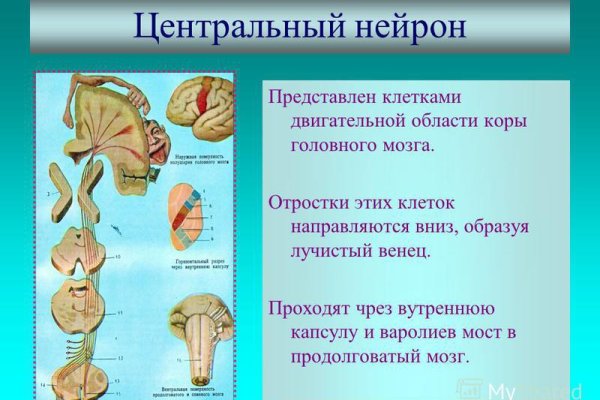 Кракен маркетплейс